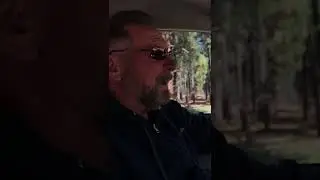 Ass problems?