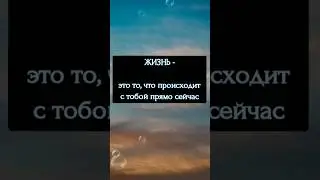Жизнь