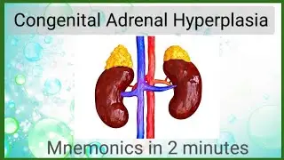 Congenital Adrenal Hyperplasia (Made Easy)|| Mnemonics