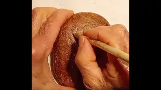 CHRYSOGRAPHIE 