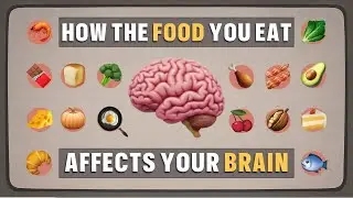 The one Fat your Brain Needs