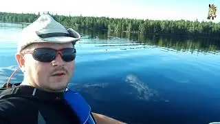 #1 Сплав по Карелии/п. Амбарный- п. Кузёма/р. Пулома-р. Воньга - м. Белое/1 часть