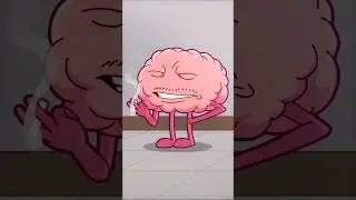 Mon cerveau à chaque exam 😭😭😭 