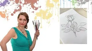 Как нарисовать розу карандашом