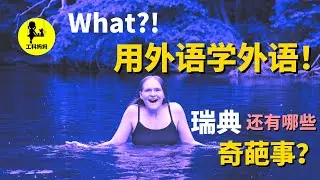 瑞典 生活 奇葩事 | 用瑞典语学瑞典语！📗 | 推销话术 思路清奇 | 文化差异 让我不再想当然！