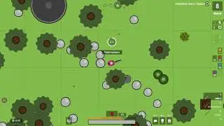 Мой проект по игре surviv io!