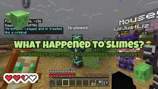 What Happened to Slimes? - Mousey’s SMP