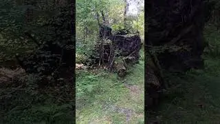Вот что может ураган!