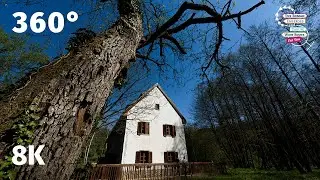 Lake Pécs (Orfű Village): Beautiful Nature on the Danube Trail of Hungary - VR 360 8k