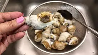 FRESH BULOTS OR BULONG WHELKS // BinaNels Journey