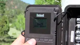 Bushnell LED Trophy Camera