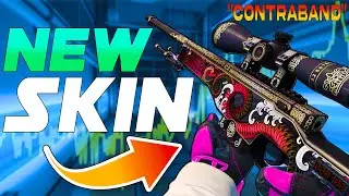 Valve DELETES “New Skin” REPLACED with AWP DUALITY! | 