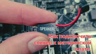 How to connect a speaker to a motherboard/review/instructions.