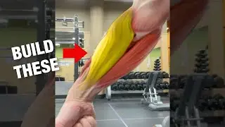 Wanna Build BIGGER Forearms? (DO THIS!)