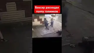 Боксер раскидал толпу гопников