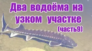Два водоёма на узком участке (часть9)