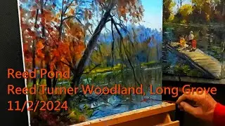 Reed Pond.  Reed - Turner Woodland, Long Grove   11 /2 /2024