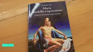 L'intervista - Fra Stefano Vita
