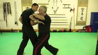 Kenpo Technique Demo #1