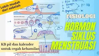 Fisiologi Hormon Siklus Mensturasi - FSH, Estrogen, LH, Progesteron