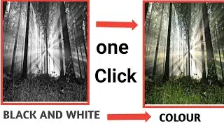 How to convert black and white photo into colour photo! Convert black and white photo into colour!