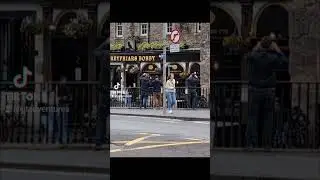 A Dog's Devotion: Greyfriars Bobby's Undying Love
