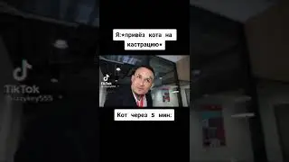 Когда привёз кота на кострацию #shorts