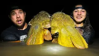 NIGHT NOODLING GATOR INFESTED WATERS!! | ARKANSAS