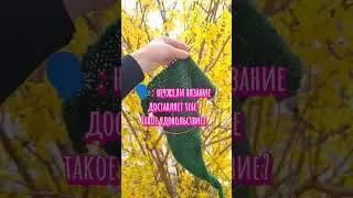 #вязание #рукоделие