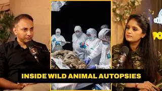 What an Animal Autopsy Reveals About Wildlife Crimes