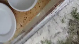 Bisque kiln open and check