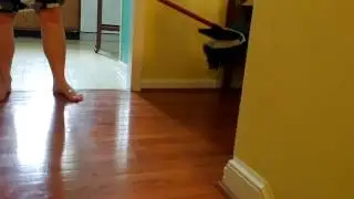 2 Year Old Jack Russell Doesn't Like Mops