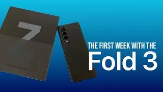 First Week with the Fold 3!