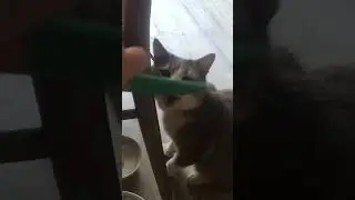 Васюка