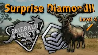 Emerald Coast multiplayer Surprises me with a unlikely trophy!|theHunter COTW