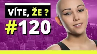 #120
