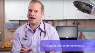 Vet Guide | General Info and Tips About Feeding a Raw Food Diet to Cats and Dogs
