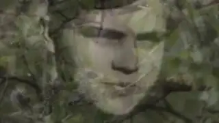 Шарип Умханов - Соловьи