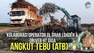 ATB!! ANGKUT TEBU GRAB LOADER GL DAN DRIVER HT GIGA ANGKUT TEBU INDOLAMPUNG PERKASA ILP #LAMPUNG