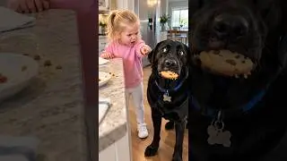 Our Dog Ate Her Cookie While She Got a Napkin 😂🍪 