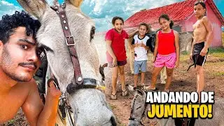 THE CATS RIDING THE DONKEY