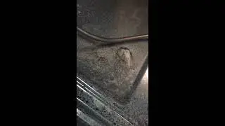 GLIM - How To Clean Your Oven