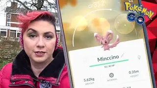 New Pokémon Go Vlog! Minccino Research Shiny Hunt