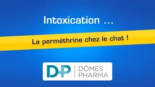 DÔMES PHARMA - Intoxication : La perméthrine chez le chat ! - Mai 2024