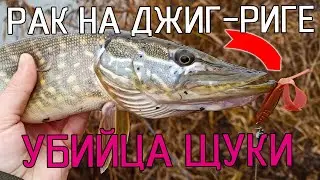СИЛИКОНОВЫЙ РАК НА ДЖИГ-РИГЕ СВОДИТ ЩУКУ С УМА!!! Зимний спиннинг. Рыбалка на щуку 2020!