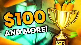 I am Hosting an $100 Valorant Tournament!