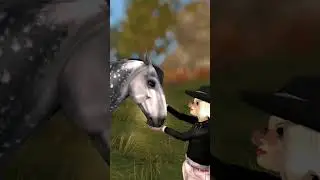 Nowy koniś 💖🌲 #sso #starstable #starstableonline #starfam