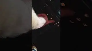 Генератор после ремонта 