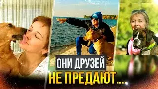 Он приручил меня! Он за меня в ответе! СТИХ ПРО СОБАК | Андрей Федоров | Голоса Души