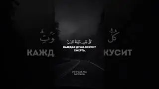 Каждая душа вкусит смерть #хадис #аллах #напоминание #нур